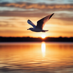 Bird in Flight Over Tranquil Lake at Sunset