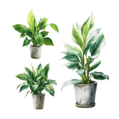 Collection of Lush Green Indoor Plants in Decorative Pots for Home Decor and Interior Design Inspiration
