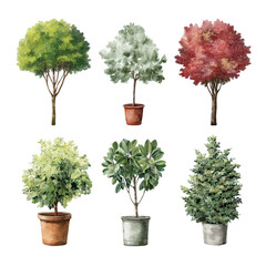 Collection of Decorative Potted Trees Featuring Green and Colorful Foliage for Home and Garden Decoration