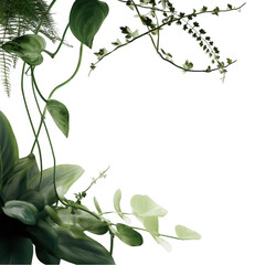 Lush Green Foliage with Varied Leaf Shapes and Textures Showcased Against a Light Background for Nature and Gardening Themes