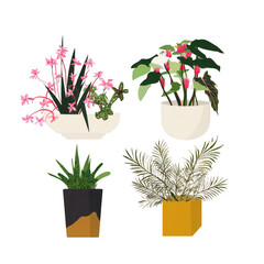 Colorful Collection of Potted Plants Featuring Orchids, Succulents, and Ferns in Modern Decorative Containers for Home and Office Spaces