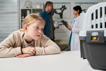 Little girl looking at her pet in plastic carrier while vet talking to her father in background