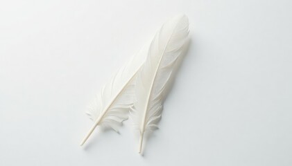 Close-up shot of pristine white feathers against pure white backdrop, art, ethereal, soft