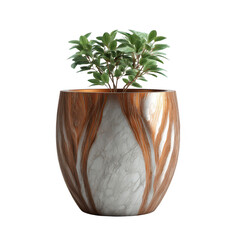 Elegant Indoor Plant in Decorative Marble Pot with Unique Wood Grain Design Enhancing Modern Home Decor and Natural Aesthetic Appeal