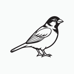 house sparrow bird silhouette vector