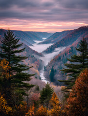 Serene Autumn Valley Landscape at Sunrise with Mist and Colorful Foliage