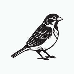 Obraz premium house sparrow bird silhouette vector