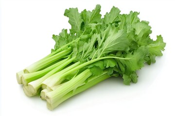 Fresh green celery stalks arranged neatly, showcasing vibrant leaves and crisp texture