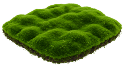 A square piece of land covered in bright green moss with a black background and textured surface
