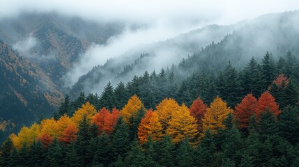 Autumnal Mountain Range in Mist
