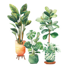 Lush Indoor Plants in Decorative Pots to Enhance Home Decor and Bring Nature Inside, Featuring a Variety of Greenery for Vibrant Spaces