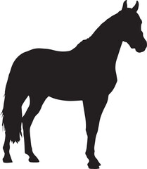 horse silhouette in a standing pose on white background