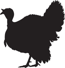 Silhouette of a turkey on white background
