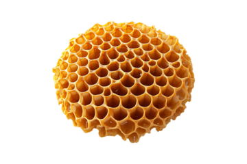 honey comb isolated on transparent background