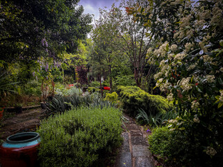 Rustic garden scene with trees, grass, wheelbarrow, countryside foliage, hedge, and vibrant natural...