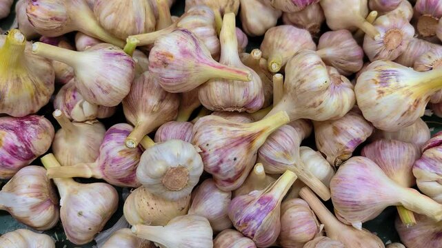 Garlic top view. Garlic texture. Organic vegetable texture. Grocery store. Garlic bulbs for sale at supermarket. 