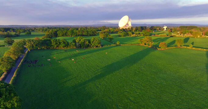 Aerial landscape video of Greater Manchester countryside with cows grazing and a radio telescope on the background. 
