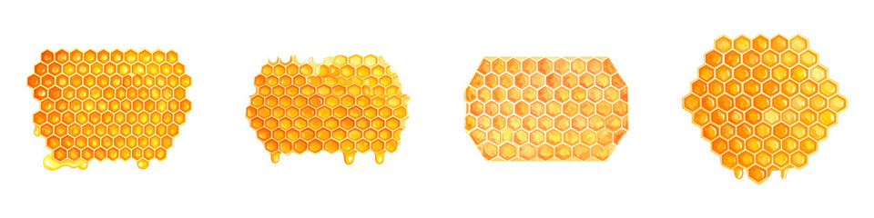 Golden honeycombs with hexagonal cells are displayed in various shapes.