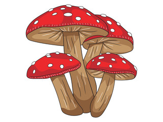 Colorful mushroom illustration featuring detailed caps and stems, ideal for botanical designs, nature-themed prints, fairy tale art, or educational materials.