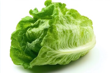 Fresh, vibrant romaine lettuce showcasing its crisp leaves against a clean background