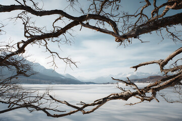 Winter Landscape Of Frozen Lake And Distant Mountains Framed By Bare Branches With Blue Sky And Snow Covered Ground Scenery