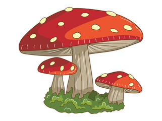 Colorful mushroom illustration featuring detailed caps and stems, ideal for botanical designs, nature-themed prints, fairy tale art, or educational materials.