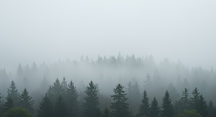 Misty Mountain Forest: A Serene Landscape