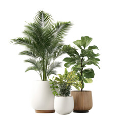 Fototapeta premium Lush Green Indoor Plants in Modern Pots for Elegant Home Decor and Interior Design Inspiration with Bright Green Foliage and Stylish Planters