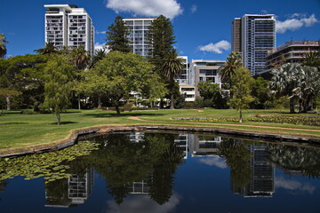 Fototapeta premium Queens Gardens in Perth, Western Australia, Australia 