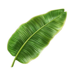 Isolated vibrant green banana leaf with prominent veins against a black background illustration