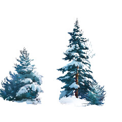 Fototapeta premium Winter Wonderland Scene: Majestic Snow-Covered Pine Trees , isolated on white background PNG