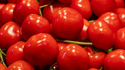 Fresh red tomatoes close up