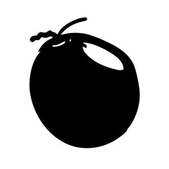 coconut silhouette on transparent background for web and graphic design