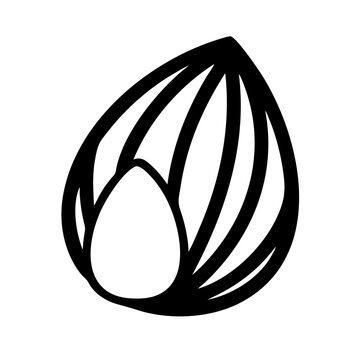 recommend clip art: almond in shell silhouette on transparent background for web and graphic design