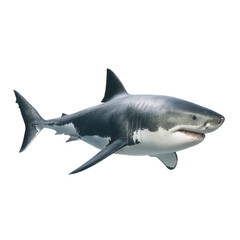 Fototapeta premium Majestic White Shark in the Deep Blue Ocean. Powerful Predator of the Marine World , isolated on white background PNG