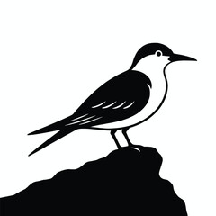 Fototapeta premium silhouette of a bird