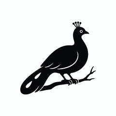 Silhouette of a bird in flight with elegant feathers and wings, vector illustration capturing the essence of nature and wildlife, perfect for an artistic design