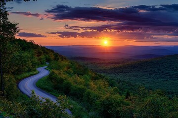 A stunning sunset illuminating a winding forest road lined with vibrant green foliage, creating a picturesque escape into nature.