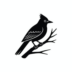 Silhouette of a crow and bird on a branch in a winter nature scene