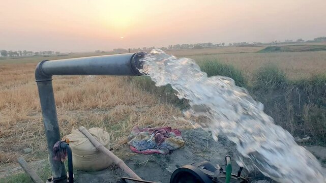 High-pressure groundwater pumping from tube well with petrol engine in agricultural field during sunset in rural area

