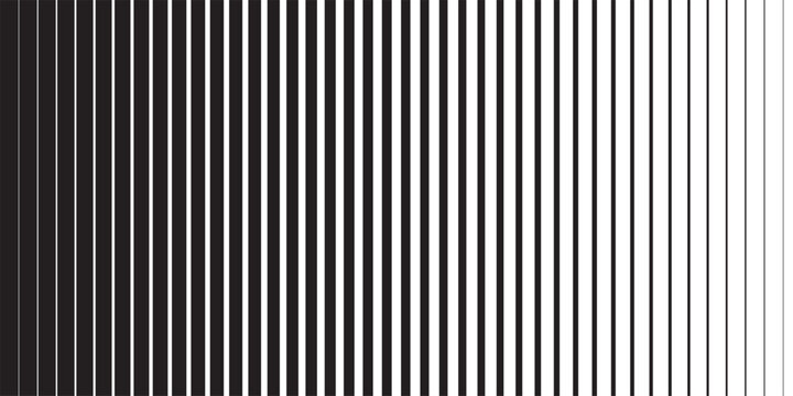 Black and white striped halftone gradient lines texture. Fading vertical stripes gradation background from thin to thick. Halftone parallel lines pattern. Vector illustration.