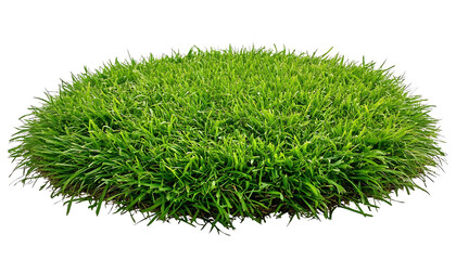Lush green grass tuft isolated on transparent background png cutout