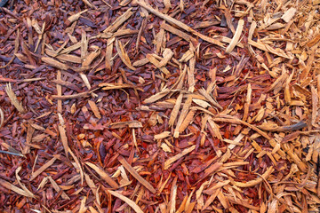 Wood Chips and Mulch Texture Background From Shredded Tree Bark Debris