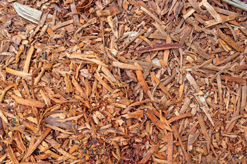 Wood Chips and Mulch Texture Background From Shredded Tree Bark Debris