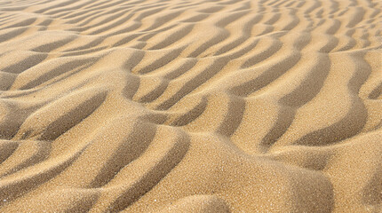 Fototapeta premium Sand Dune Texture: A close-up abstract view of rippling sand dunes, showcasing the captivating patterns and textures of desert landscapes.
