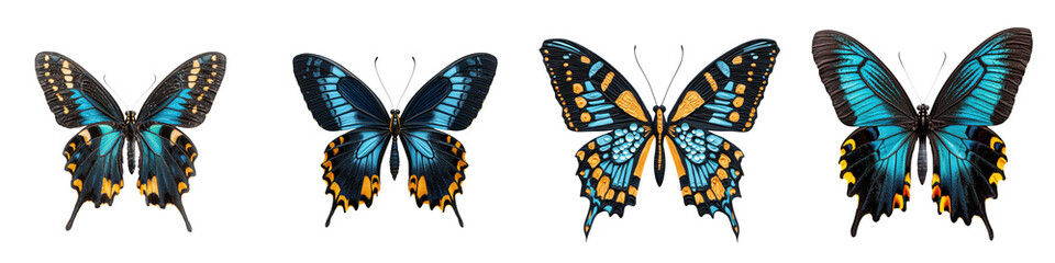 Naklejka premium Vibrant Butterflies in Diverse Designs
