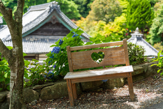 Wooden Bench with Heart-Shaped Window Cutout Amongst Hydrangeas at Yanagidani Kannon Yokoku-ji Temple, Kyoto.