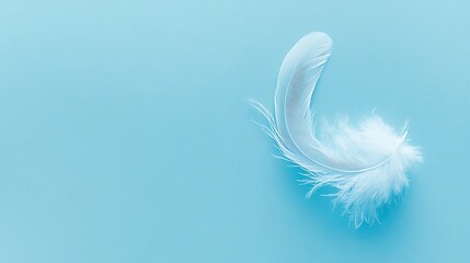 Delicate white feather against pastel blue, evoking lightness and serenity