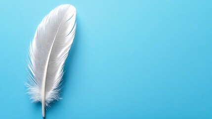 Naklejka premium Elegant feather resting on a vivid turquoise backdrop symbolizing tranquility