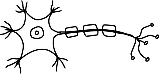 neuron structure schematic outline 